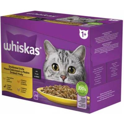 Whiskas Adult Drůbeží krmivo v želé s kuřetem kachnou drůbeží krůtou 12 x 85 g