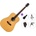 Pasadena PD-300 Premium SET Natural Satin Акустична китара