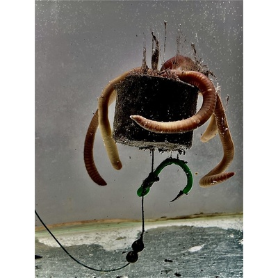 LK Baits Pelety Pop Up Sumec Special 200 g 38 mm