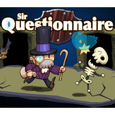 Sir Questionnaire