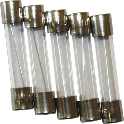 Skleněná pojistka velká F 10A 5 ks