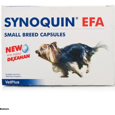 Synoquin small 90 tbl