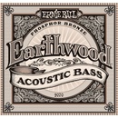 Ernie Ball 2070