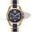 Michael Kors MK6268