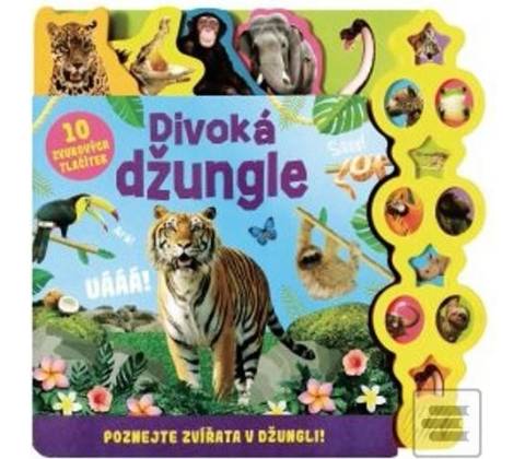 Džungle
