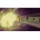 1Quest