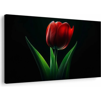 Obraz červená tulipánová elegancia
