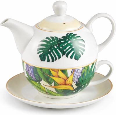 Poukladane Monstera sada 400 ml 250 ml