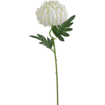 Chryzantéma 50 cm - bílá - krémová