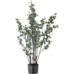 Bloomingville Изкуствен евкалипт (височина 117 cm) - Bloomingville (82061500)