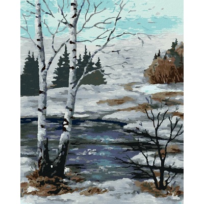 Zuty Brezy V Zimnej Krajine 40 x 50 Cm Plátno 8596530088127