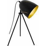 EGLO Hunningham 43007