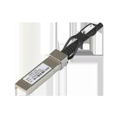 Netgear AXC761-10000S Přímý propojovací 1m