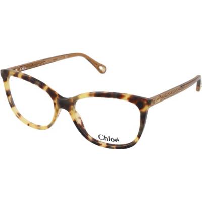 Chloe CH0013O 005