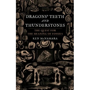 Image 1 of Dragons' Teeth and Thunderstones | Kenneth J. McNamara