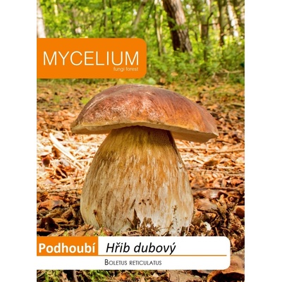 Hřib dubový 10 g podhoubí