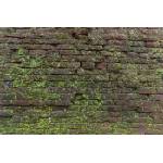 DIMEX ART Флизелинов фототапет винтидж текстура с мъх 375 x 250 см