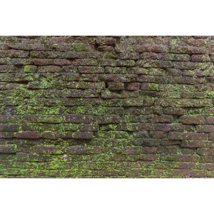 DIMEX ART Флизелинов фототапет винтидж текстура с мъх 375 x 250 см