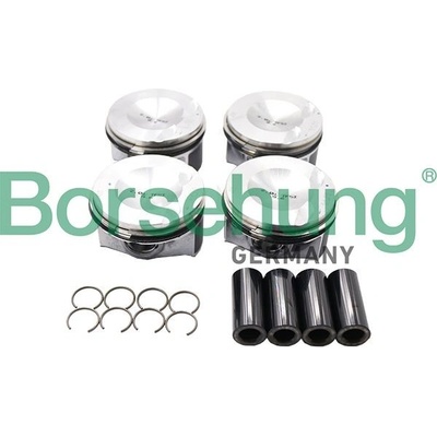 Piest Borsehung B13574