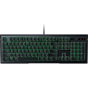 Razer Ornata RZ03-02041700-R3M1