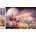 Norimpex - Puzzle Diamant painting: Pink flamingos 30x40cm - 1 - 39 piese