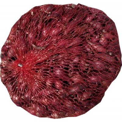 AgroBio Cibule sazečka Akado červená ozimá 250 g