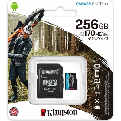 Kingston SDXC UHS-I U3 256 GB SDCG3/256GB – Zboží Živě