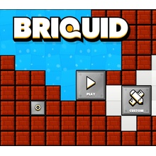 Briquid