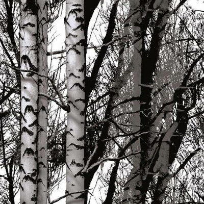 d-c-fix 343-1007 Samolepící fólie Wood rozměr 45 cm x 1,5 m