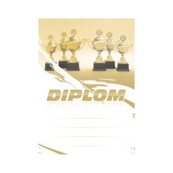 Diplom 6691