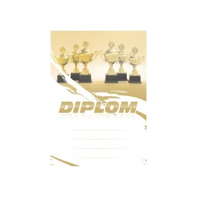 Diplom 6691
