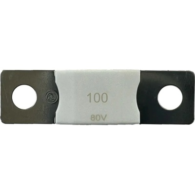 Victron Energy B. V. MEGA-pojistka 100A/80V Victron Energy