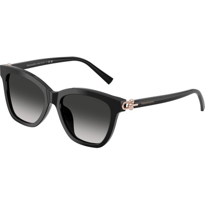 Tiffany & Co Tiffany & Co. TF4241D 80013C (TF4241D 80013C)