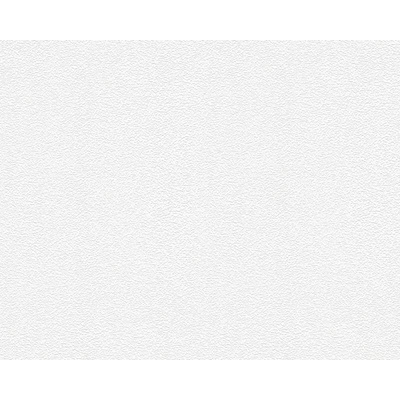A.S. Création 245816 přetíratelné tapety na zeď Meistervlies Protect 4 rozměry 0,53 x 10,05 m