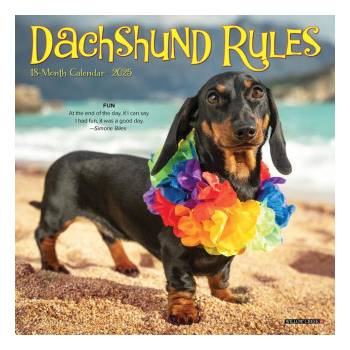 Willow Creek Press Calendars Dachshund Rules 2026 7 X 7 Mini Wall Calendar | Willow Creek Press