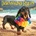 Willow Creek Press Calendars Dachshund Rules 2026 7 X 7 Mini Wall Calendar | Willow Creek Press