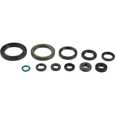 Sada gufer motoru ATHENA P400210400064