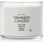 Yankee Candle Silver Birch вотивна свещ 37 гр
