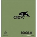 Joola Orca