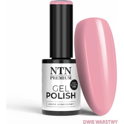NTN Gél lak NTN premium Nudes Limited Edition Nr 539 5 g