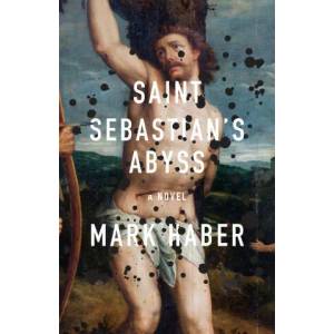Saint Sebastian's Abyss | Mark Haber (ISBN: 9781566896368)