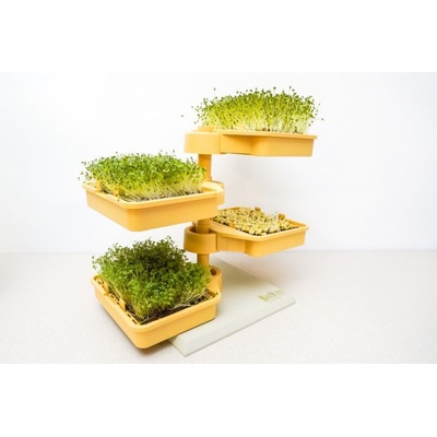 Babylon Garden - домашна хидропонна система за кълнове и микро растения, 4 култури, смарт приложение + ПОДАРЪК (878827)