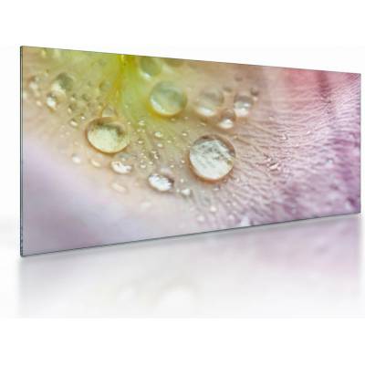 Sklenený obraz - Kvapky rosy, jednodielne 100x50 cm na skle