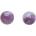 Nefertitis NF9593