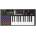 M-AUDIO Code 25