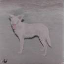 AO - Malandra LP