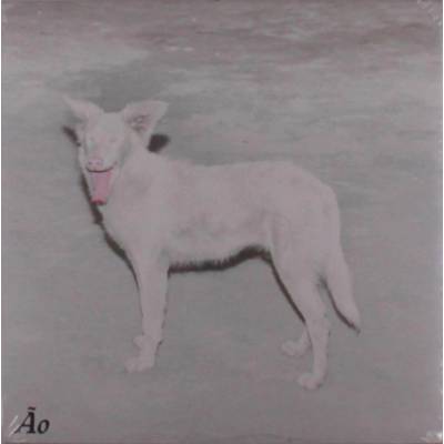 AO - Malandra LP