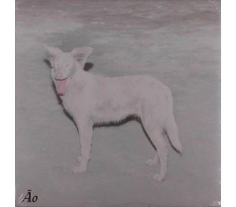 AO - Malandra LP