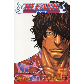 Bleach Kubo Tite