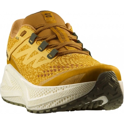 Salomon aero glide 3 GRVL